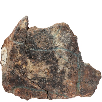 Emys orbicularis