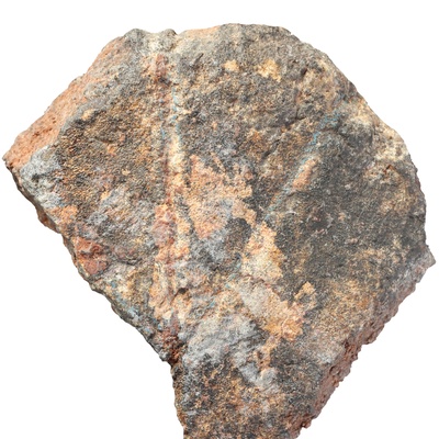Testudo szalaii